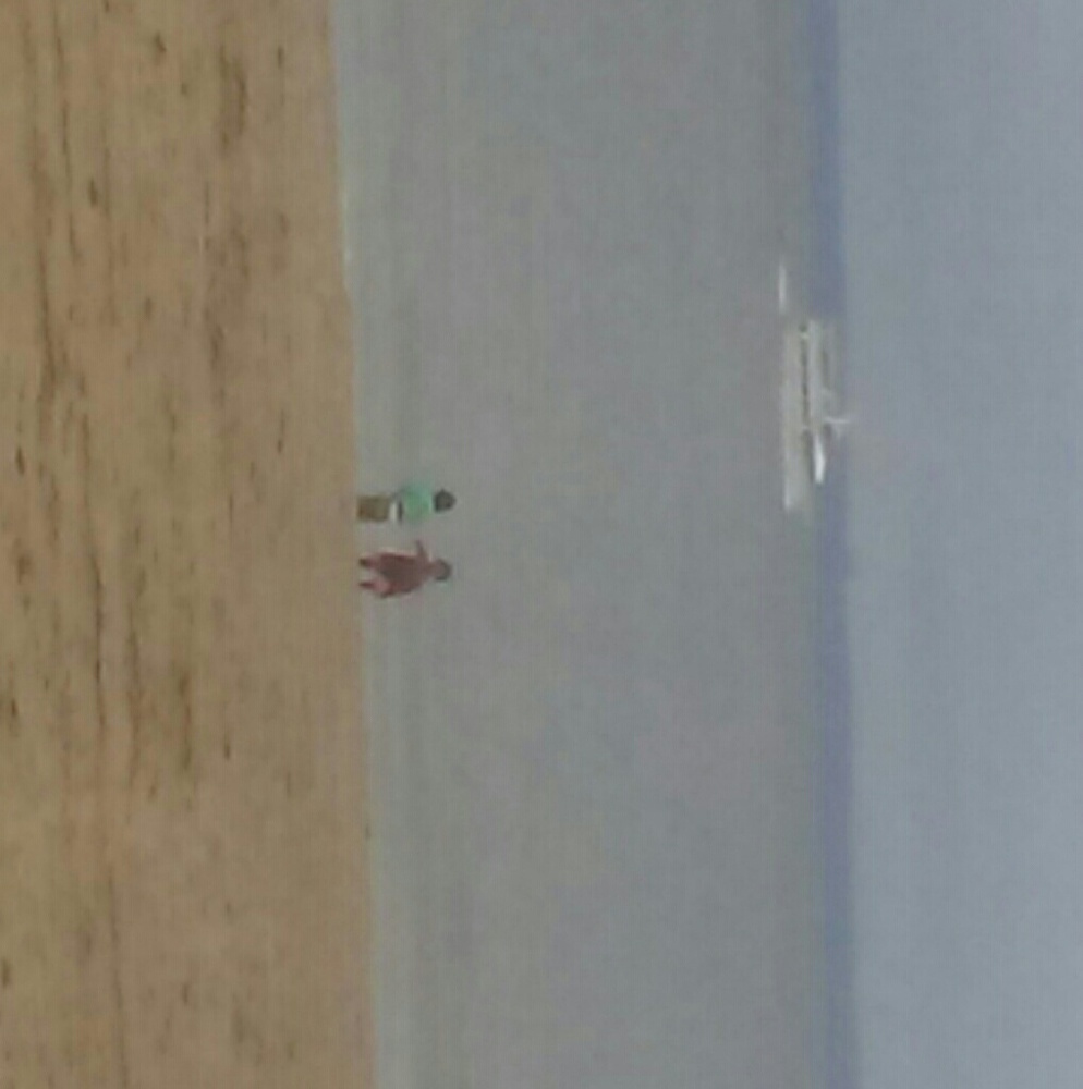 Meet your Posher, Joy